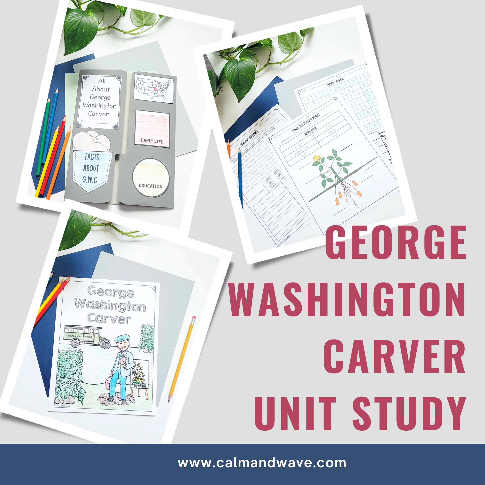 George Washington Carver Thematic Unit | Unit Study | Homeschool | Multiple Grades | Printables |