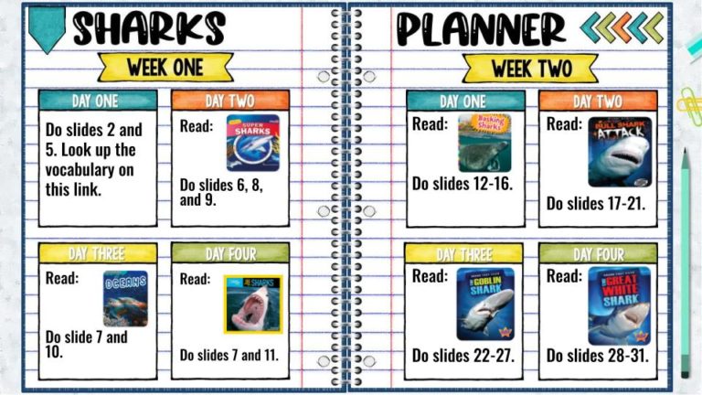Sharks Digital Interactive Notebook | Sharks Unit Study | Homeschool ...