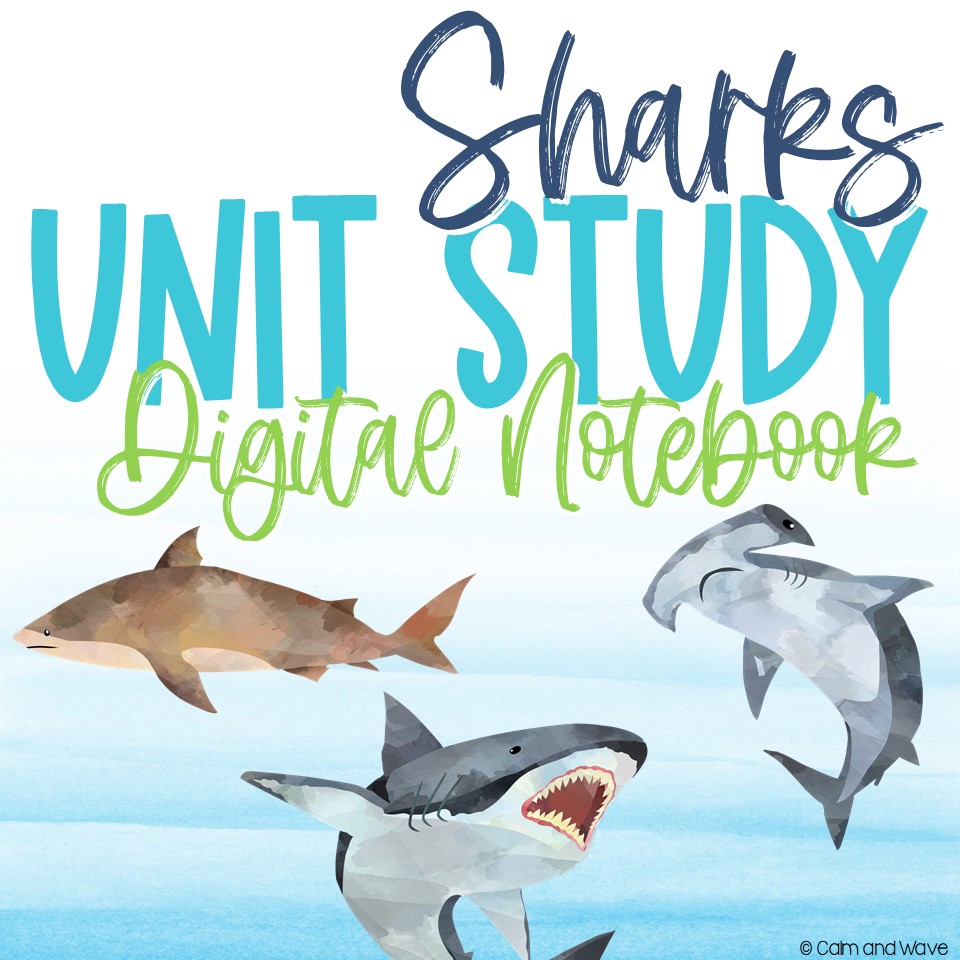 Sharks Interactive Digital Notebook Unit Study