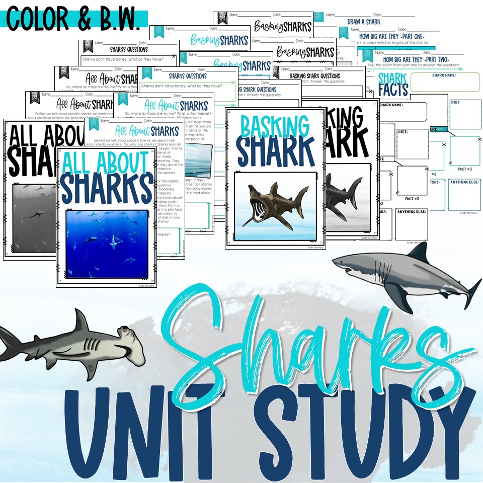 Sharks Printable Worksheet Unit Study with Lapbook or Interactive Notebook