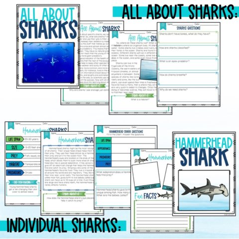 Sharks Printable Worksheet Unit Study with Lapbook or Interactive ...