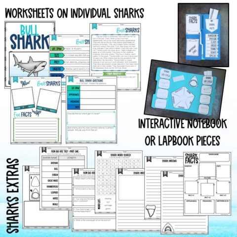 Sharks Printable Worksheet Unit Study with Lapbook or Interactive ...