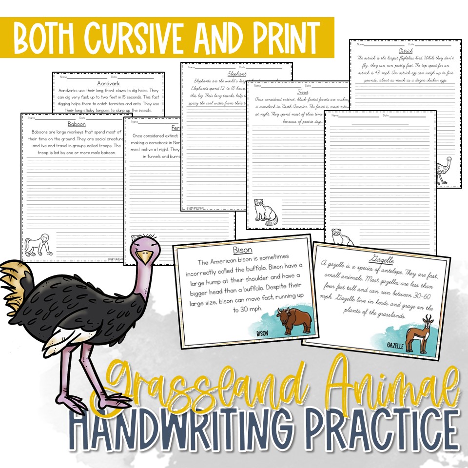 Grassland Animal Handwriting Practice Worksheet