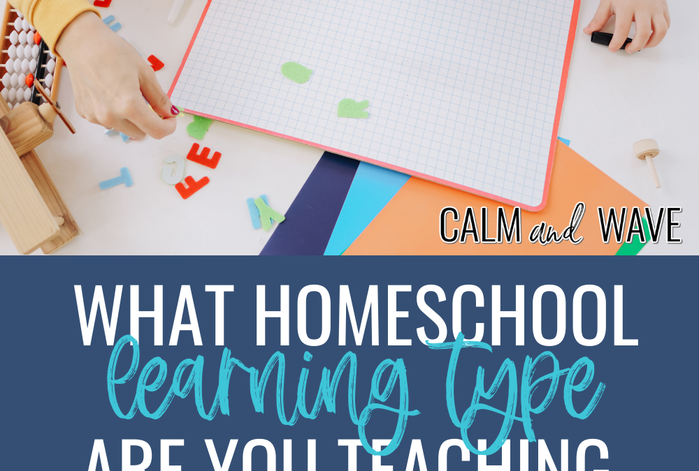 What Homeschool Learning Type are You Teaching and How Can You Help Them?￼