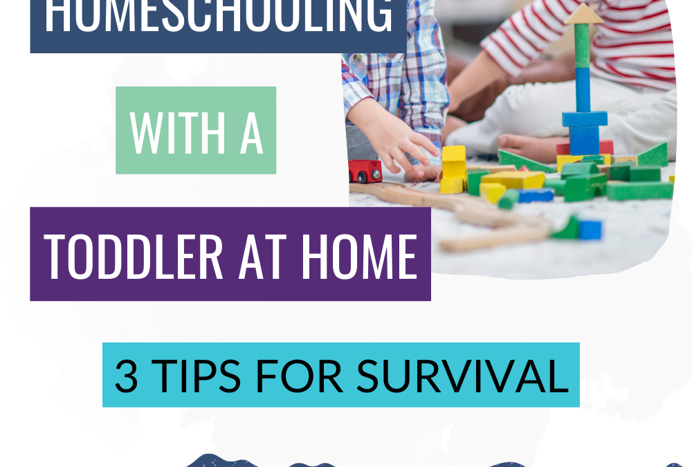 Homeschooling with a Toddler at Home : 3 Tips for Survival