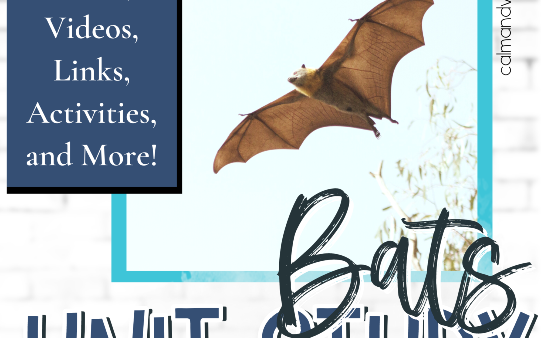 Homeschool Bats Unit Study Ideas, Videos, Links, Activities, and More!