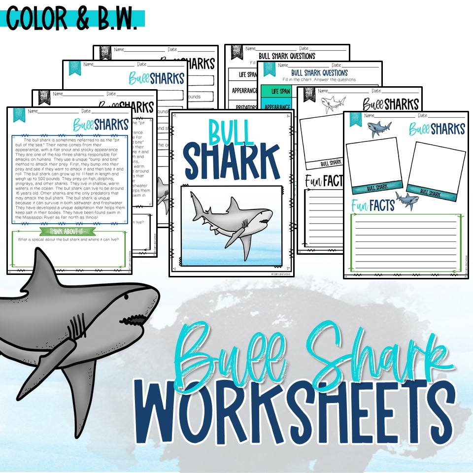 Free Bull Shark Printable Worksheets - Calm & Wave